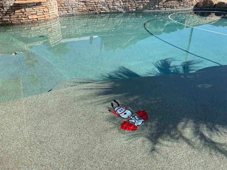 Ultimate Backyard-Pool/Spa. Slide. Lakeview. Ball 哈瓦苏湖城 外观 照片